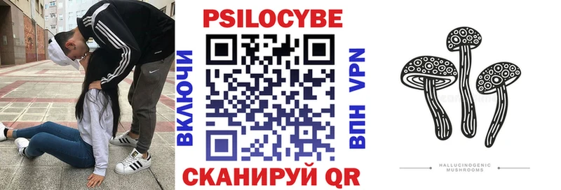 блэк спрут маркетплейс  Кореновск  Галлюциногенные грибы Cubensis 