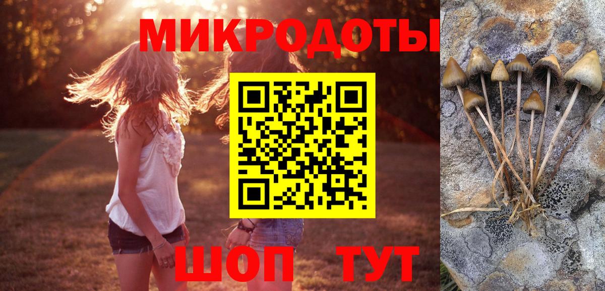 Галлюциногенные грибы ЛСД  Вход с VPN  Кореновск 